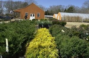 Stewart Nursery Co. expanded retail space and greenhouses.